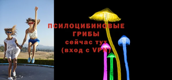 ALPHA PVP Алексеевка