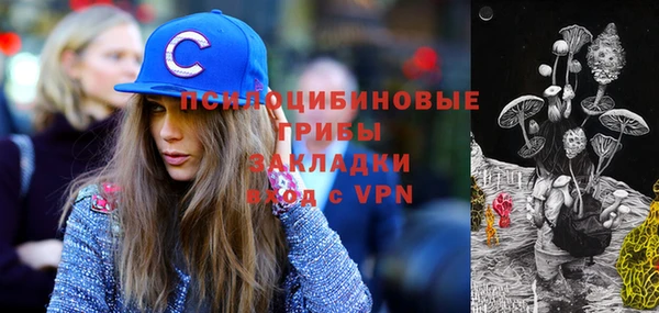 эйфоретик Алексин