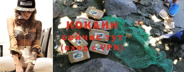 стаф Алзамай