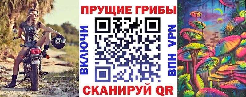 Галлюциногенные грибы Cubensis мега ТОР Нурлат